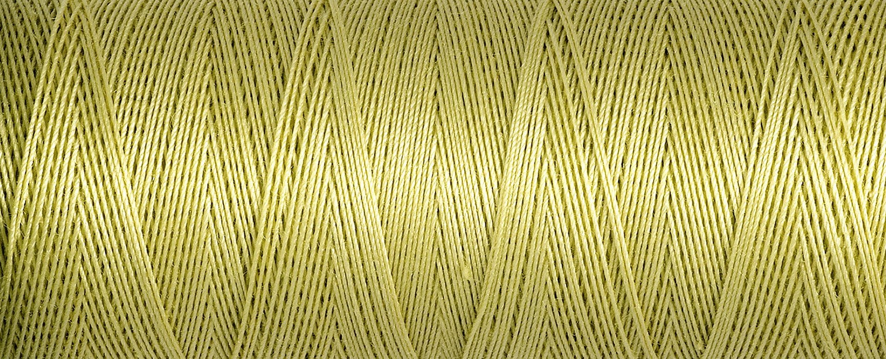 Gutermann Cotton Thread 100M Colour 0248 Close UP