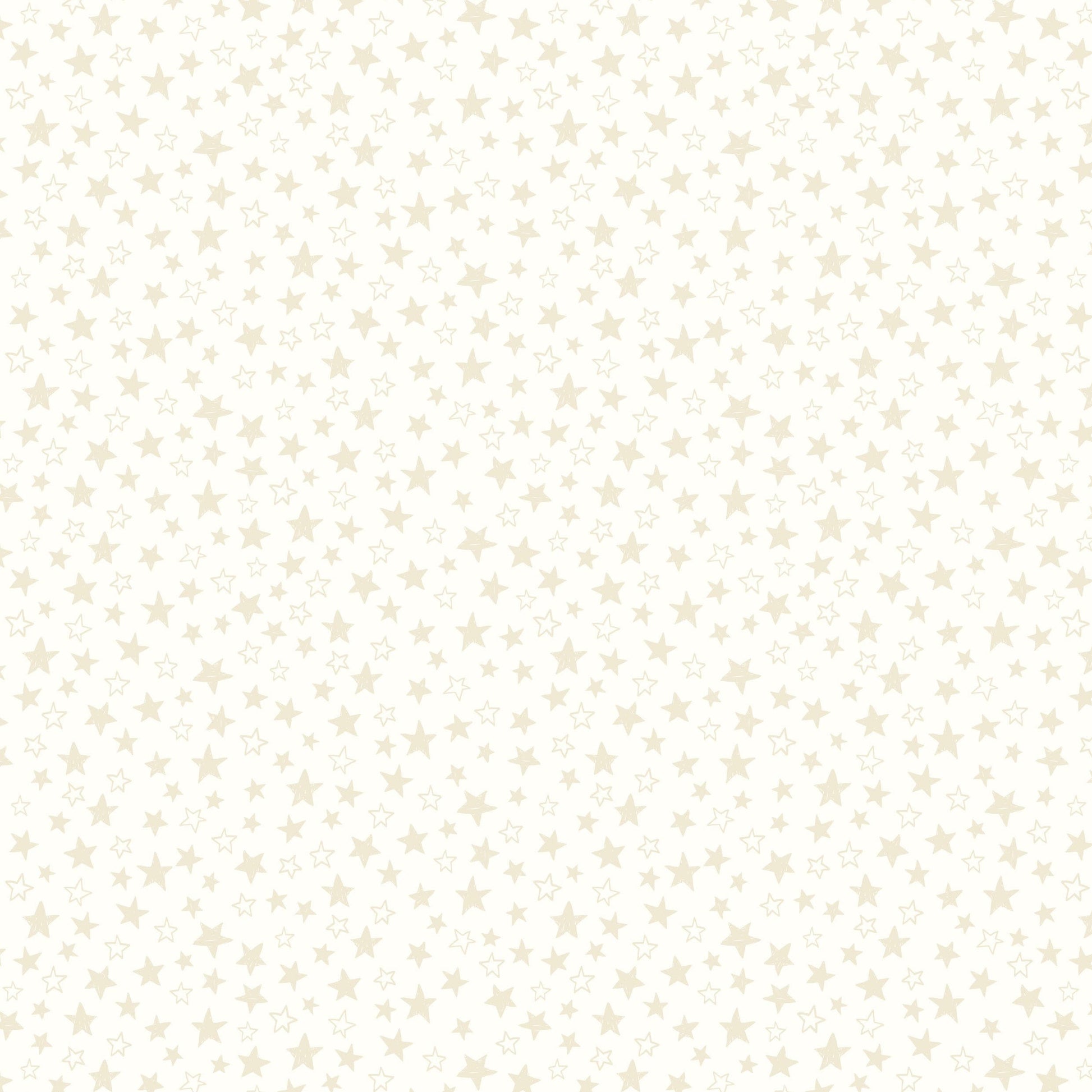 Lewis and Irene Fabric Lewis and Irene Tiny Tonals 2025  - The Sewing Studio