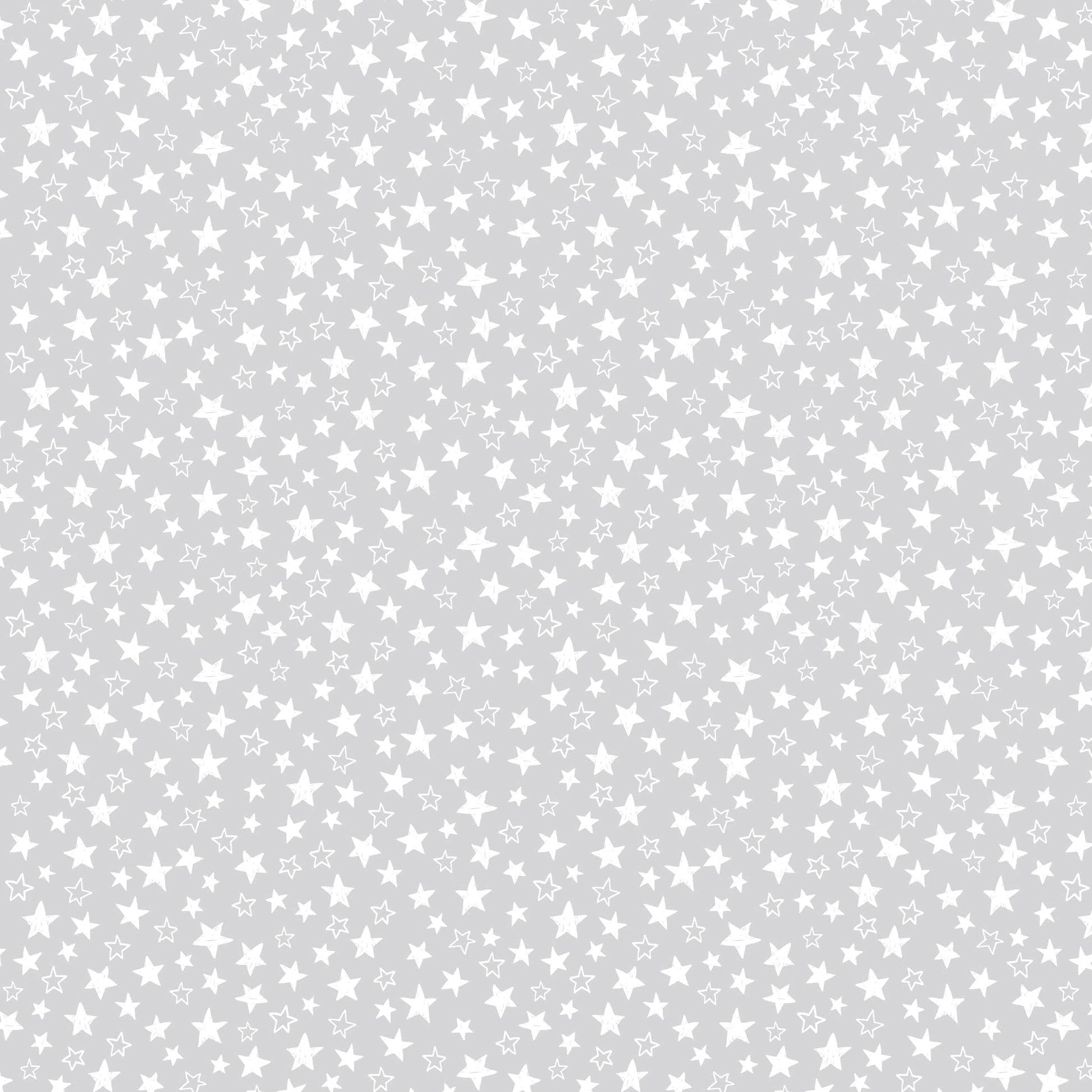 Lewis and Irene Fabric Lewis and Irene Tiny Tonals 2025  - The Sewing Studio