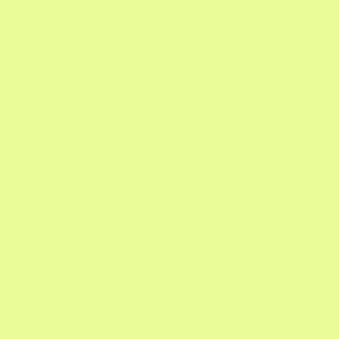 Makower Fabric Makower Spectrum Plain Solid Fabric - The Sewing Studio