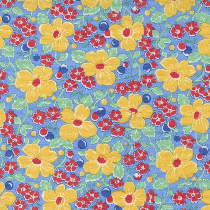 Moda Fabric Moda 30s Playtime 2022 - The Sewing Studio