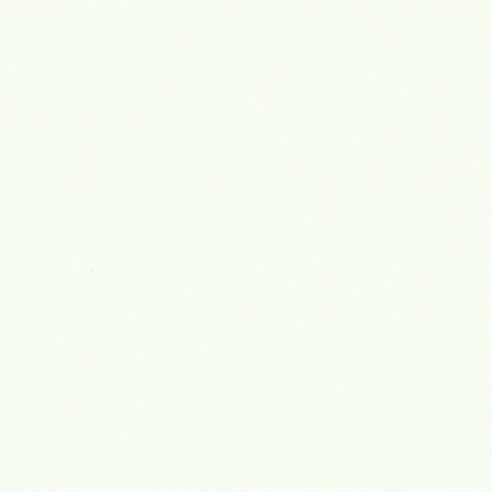 Moda Fabric Moda Bella Solids White - The Sewing Studio