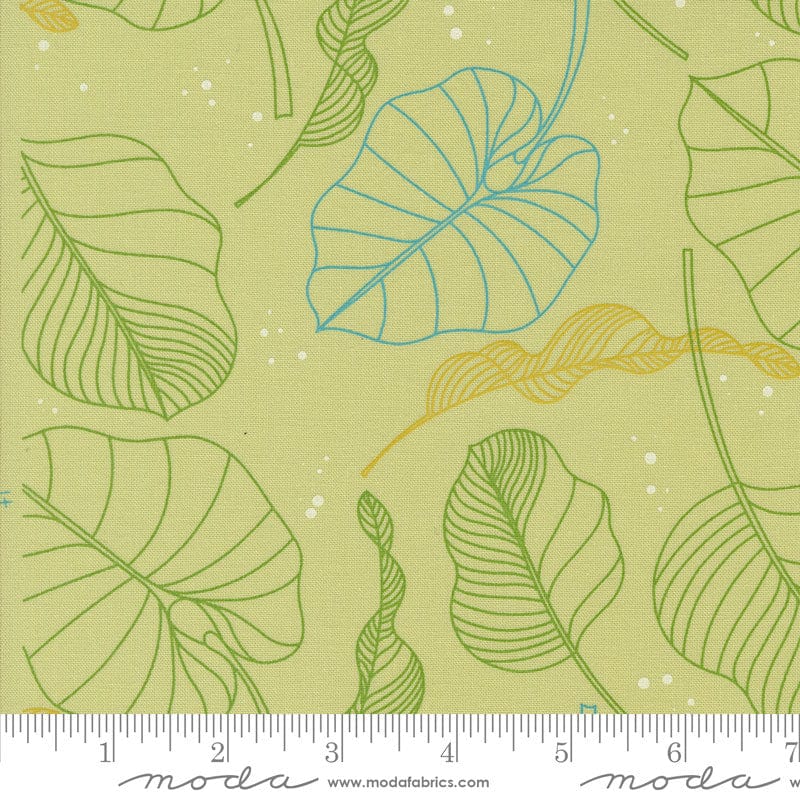 Moda Fabric Moda Olive You - The Sewing Studio