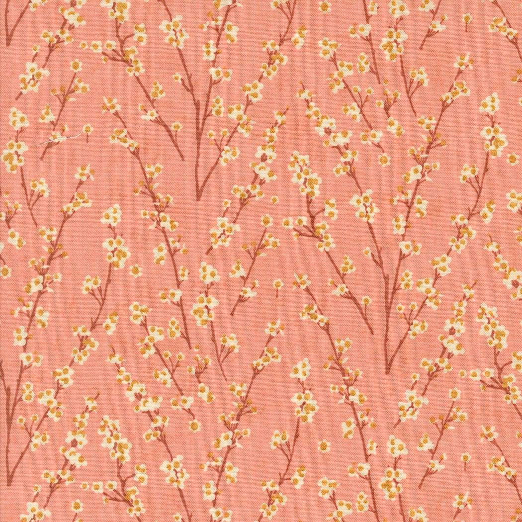 Moda Fabric Moda Acorn Hollow  - The Sewing Studio