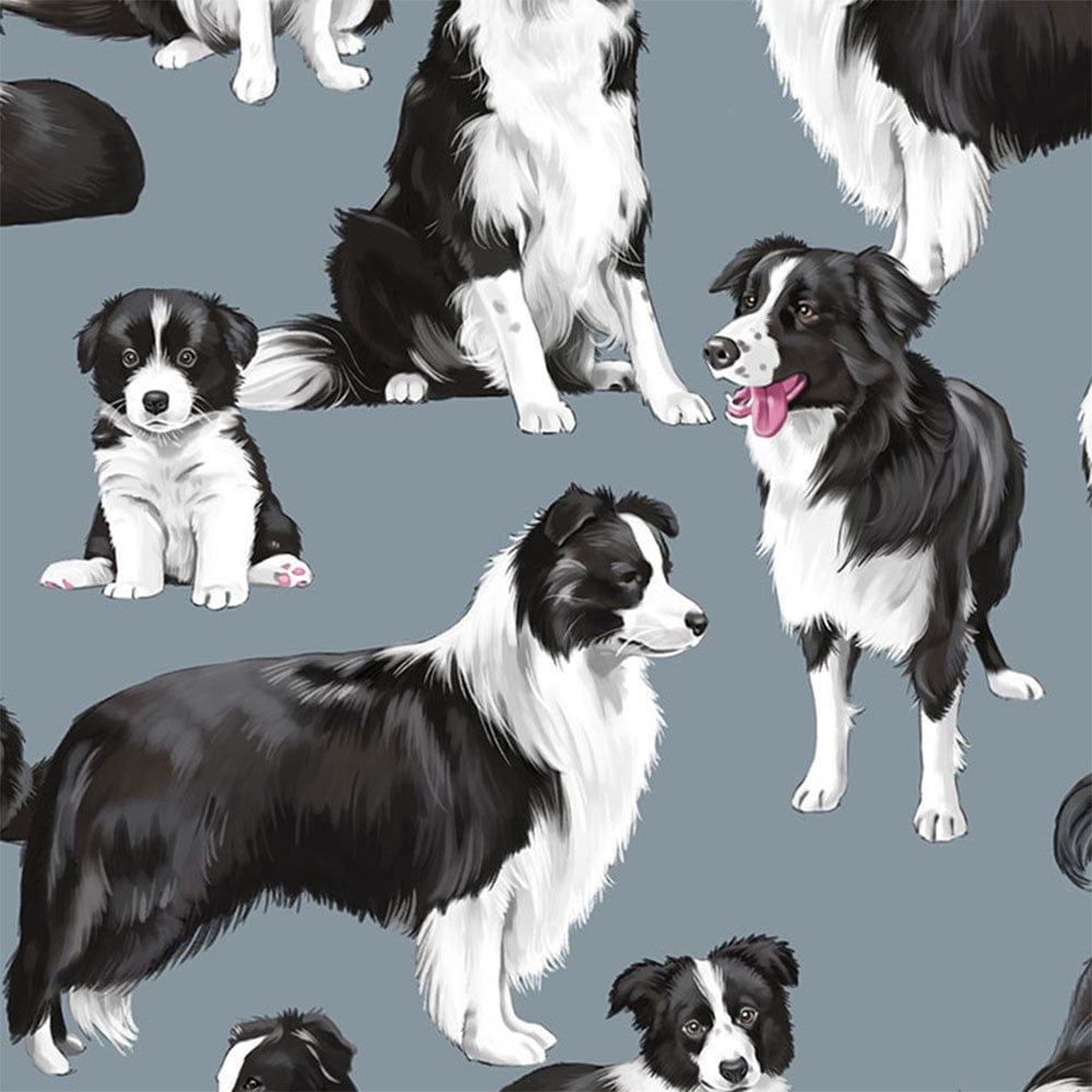 Timeless Treasures Fabric Timeless Treasures Cats and Dogs - The Sewing Studio