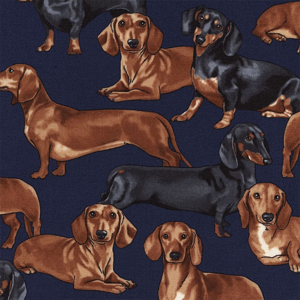 Timeless Treasures Fabric Timeless Treasures Cats and Dogs - The Sewing Studio