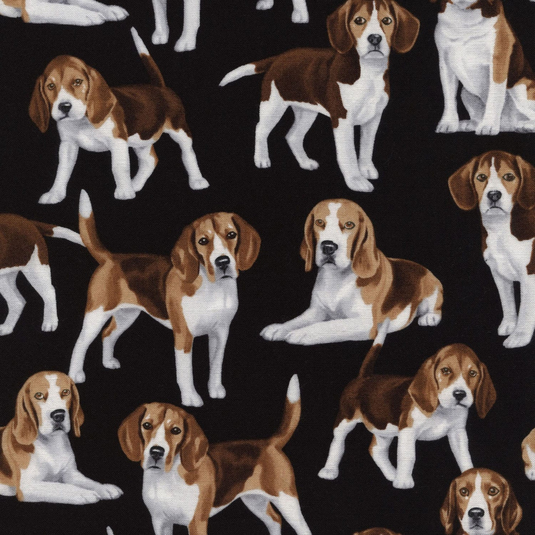 Timeless Treasures Fabric Timeless Treasures Cats and Dogs - The Sewing Studio
