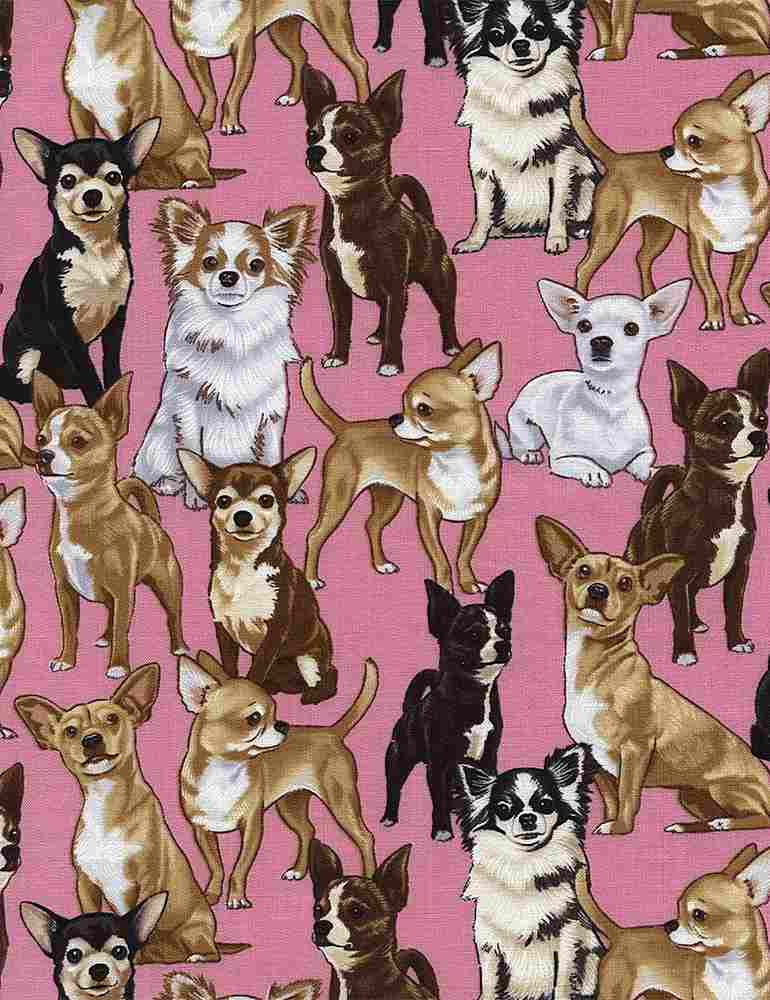 Timeless Treasures Fabric Timeless Treasures Cats and Dogs - The Sewing Studio