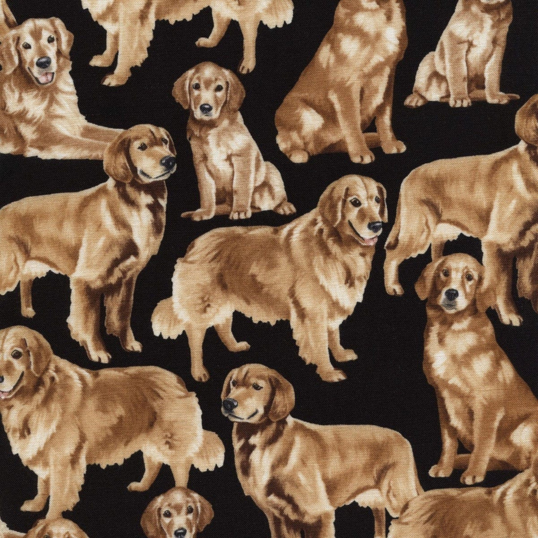Timeless Treasures Fabric Timeless Treasures Cats and Dogs - The Sewing Studio