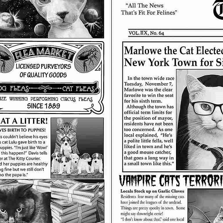 Timeless Treasures Fabric Newsprint Cats