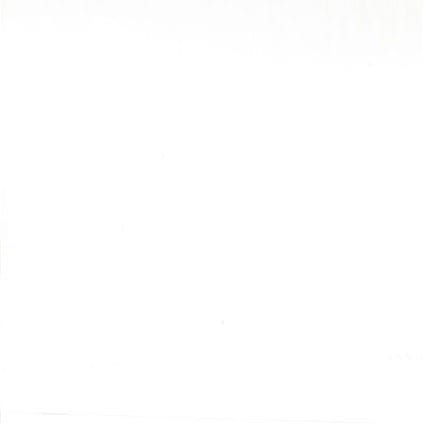 Moda Fabric Calico Moda Fabric Calico 200 Count 90 Inches Wide White - The Sewing Studio