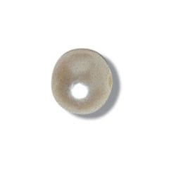 Pearl Beads: 8mm: Cream: 20 quantity