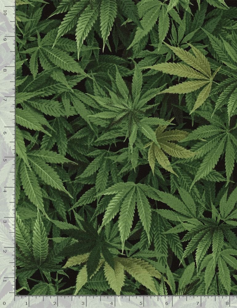 Timeless Treasures Fabric Cannabis Leaf Fabric - The Sewing Studio