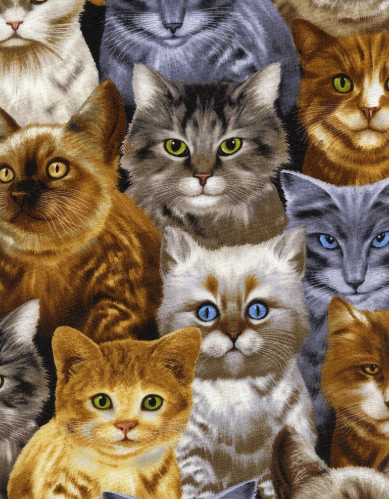Timeless Treasures Fabric Timeless Treasures Patchwork Fabric Crowded Cats - The Sewing Studio