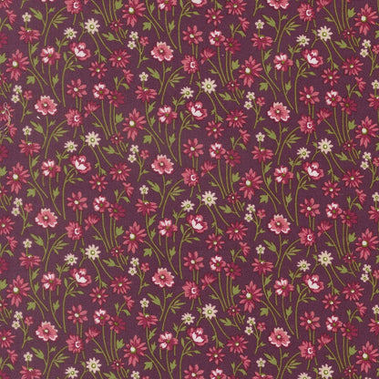 Moda Chelsea Garden