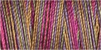 Gutermann Sulky Variegated Cotton Thread 30 300M Colour 4045