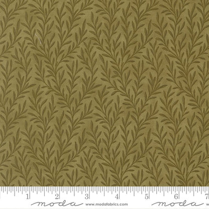 Moda Collections Essence