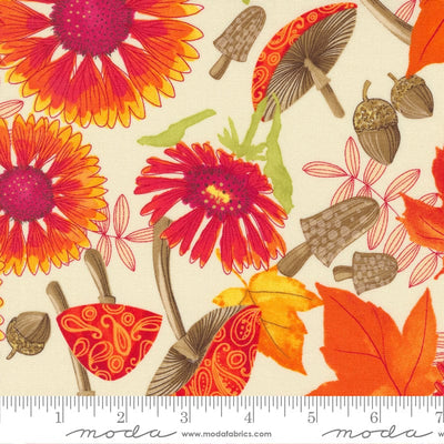 Moda Fabric Forest Frolic Indian Blanket Flowers Cream 48740 12 Ruler