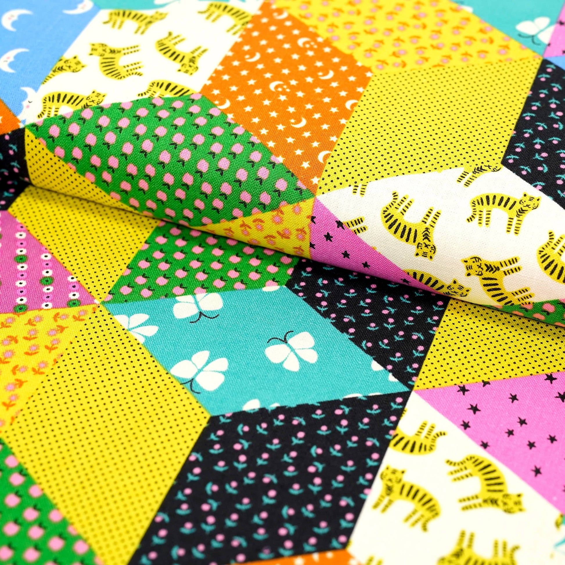 Ruby Star Society Fabric Ooh Lucky Lucky Cotton Canvas Fabric  - The Sewing Studio