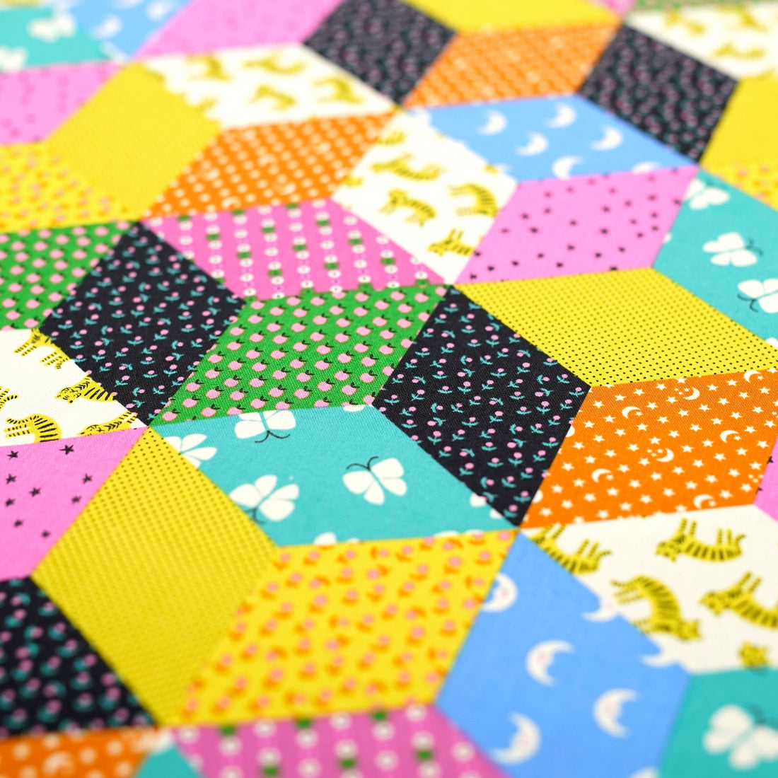 Ruby Star Society Fabric Ooh Lucky Lucky Cotton Canvas Fabric  - The Sewing Studio