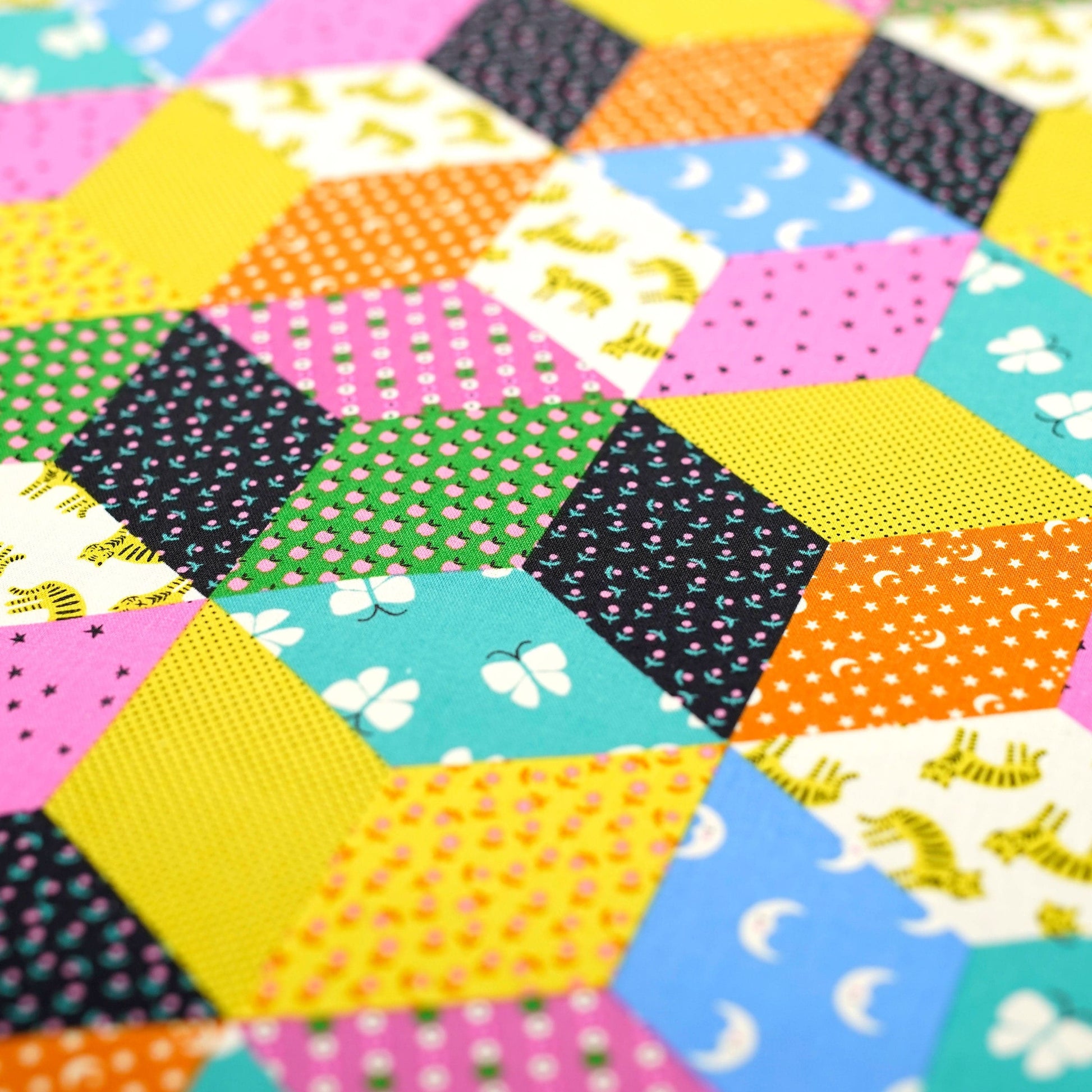 Ruby Star Society Fabric Ooh Lucky Lucky Cotton Canvas Fabric  - The Sewing Studio