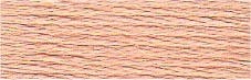 DMC Threads DMC Stranded Cotton Code 754  - The Sewing Studio