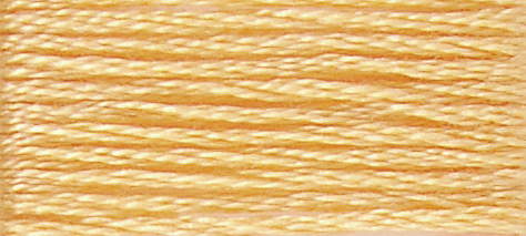 DMC Threads DMC Stranded Cotton Oranges  - The Sewing Studio