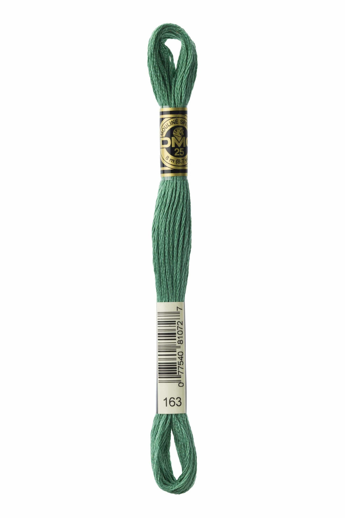 DMC Threads DMC Stranded Cotton Greens  - The Sewing Studio