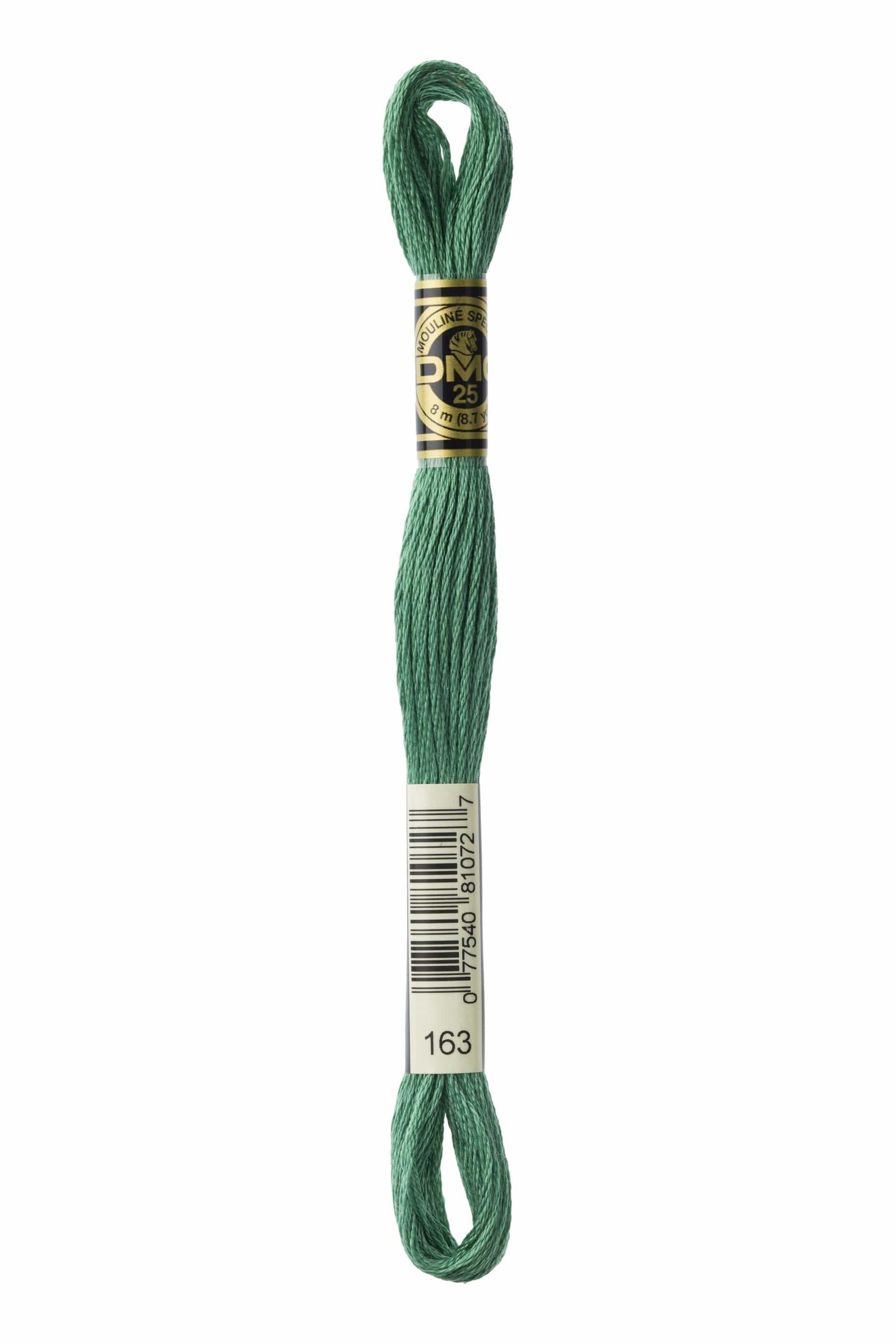 DMC Threads DMC Stranded Cotton Greens  - The Sewing Studio