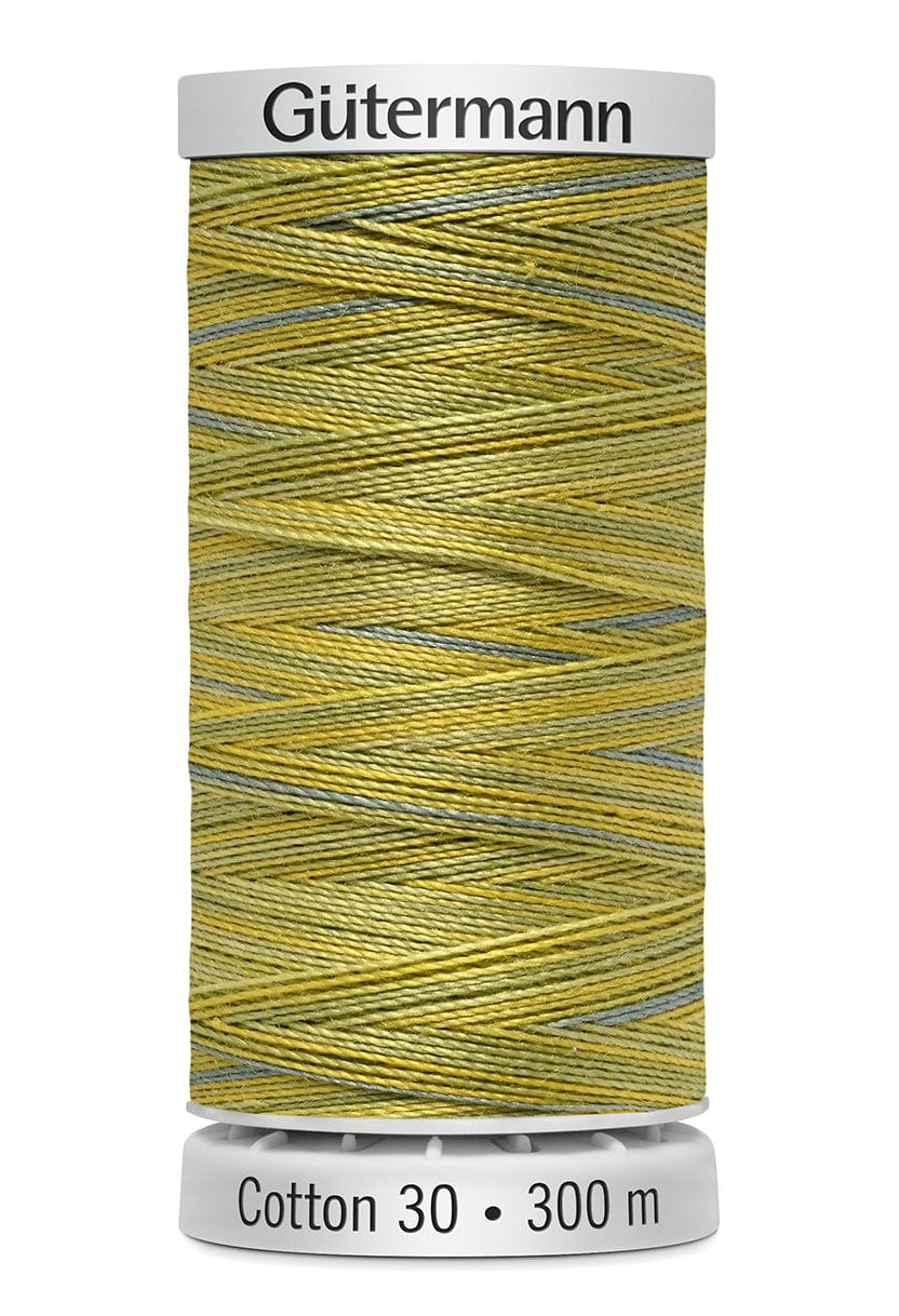 Gutermann Threads Gutermann Cotton 30 Variegated Group 2  - The Sewing Studio