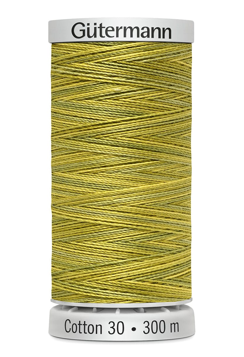 Gutermann Threads Gutermann Cotton 30 Variegated Group 2  - The Sewing Studio