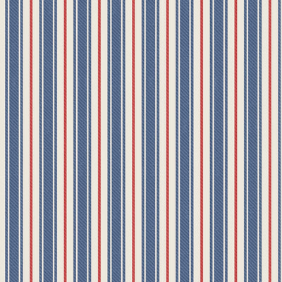 Blue And Red Ticking Stripe