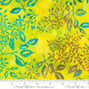 Moda Chroma Batiks Citrus 4366-21 Ruler Image