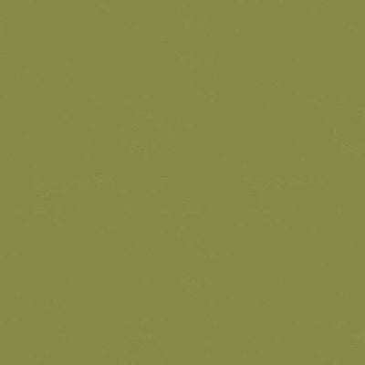 Lichen 9900-458