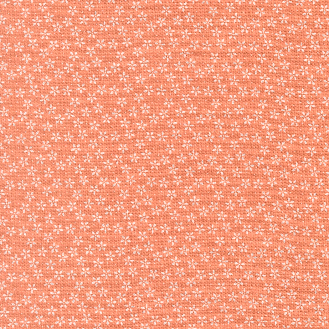 Moda Fabric Moda Pastel Prairie  - The Sewing Studio