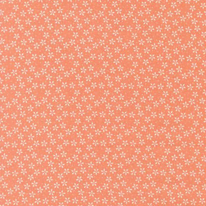 Moda Fabric Moda Pastel Prairie  - The Sewing Studio