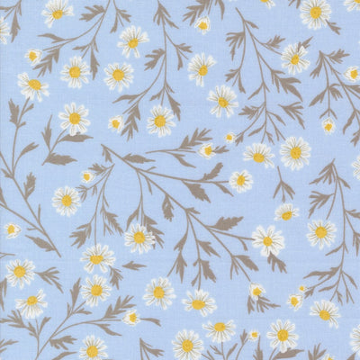 Daisy Chain Sky 43200 14