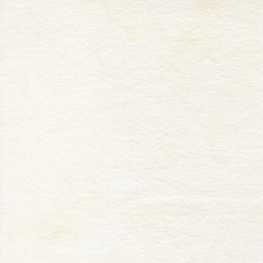 White Plain Moda Fabric Extra Wide Moda Flannel Gatherings Basics 108" - The Sewing Studio