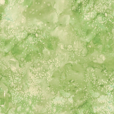 Fresh Grass 8433 51