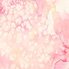 Fuchsia 8433 21