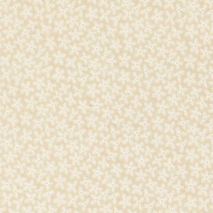 Moda Fabric Moda KT Favorites Backgrounds  - The Sewing Studio