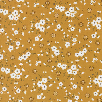 Lullaby Golden 43201 12
