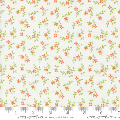 Moda Fabric Moda Cali and Co  - The Sewing Studio