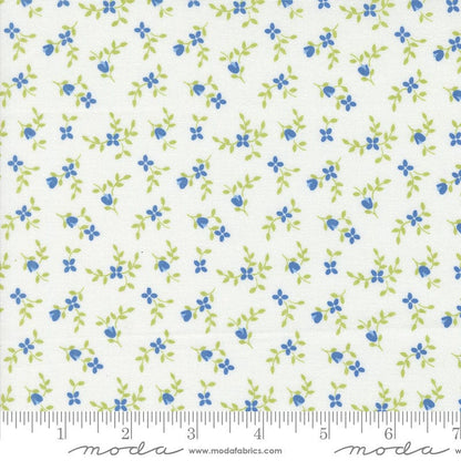 Moda Fabric Moda Cali and Co  - The Sewing Studio