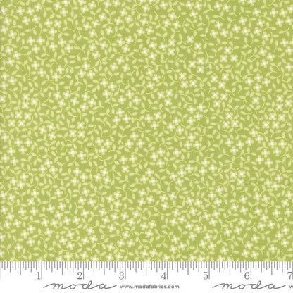 Moda Fabric Moda Cali and Co  - The Sewing Studio