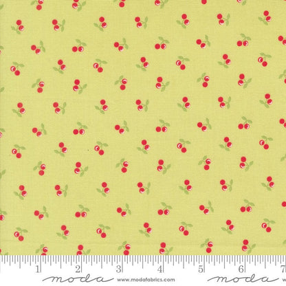 Moda Fabric Moda Cali and Co  - The Sewing Studio
