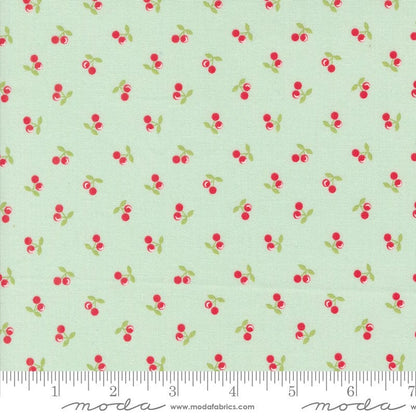 Moda Fabric Moda Cali and Co  - The Sewing Studio