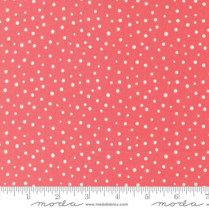 Moda Fabric Moda Cali and Co  - The Sewing Studio