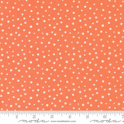 Moda Fabric Moda Cali and Co  - The Sewing Studio