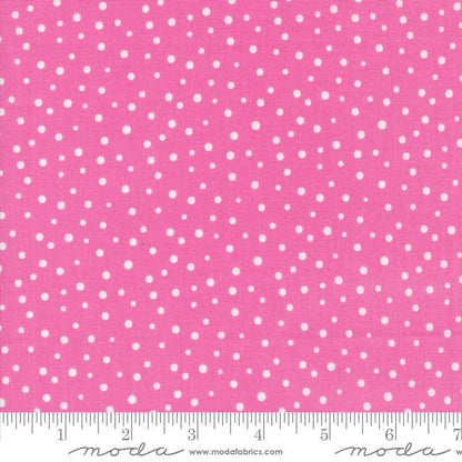 Moda Fabric Moda Cali and Co  - The Sewing Studio
